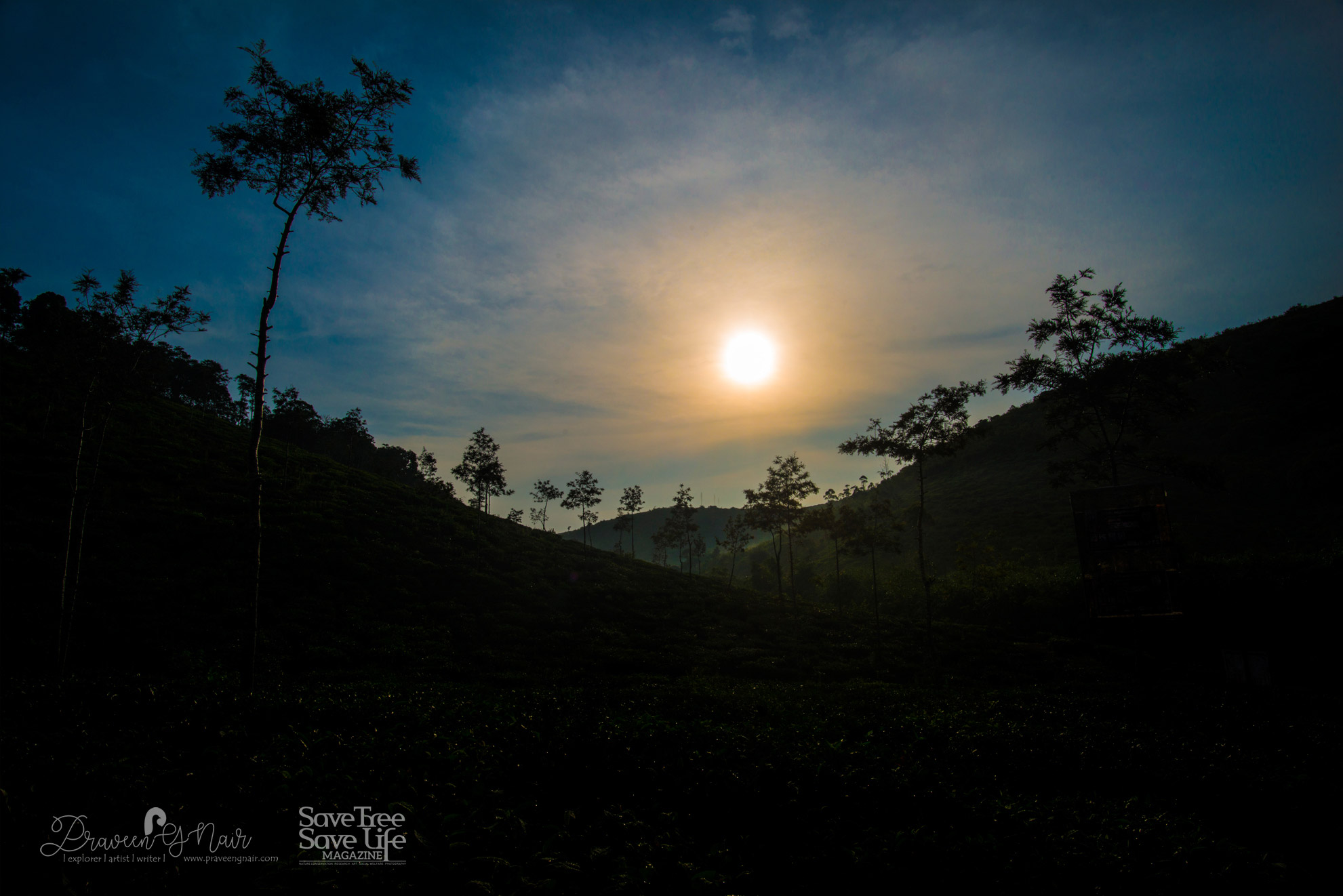 Morning-in-parunthumpara-tea-plantation