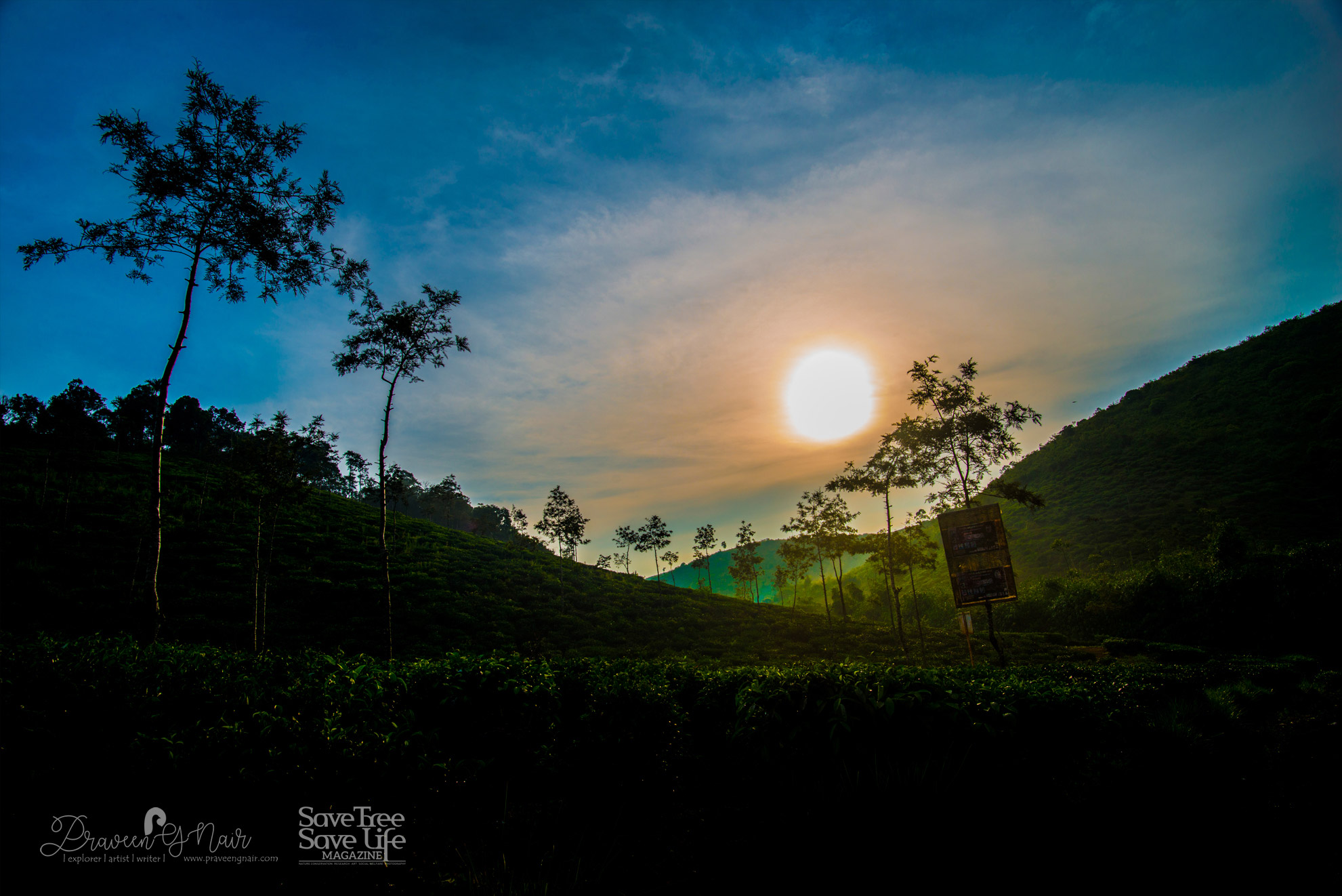 Sunrise-in-parunthumpara-tea-plantation